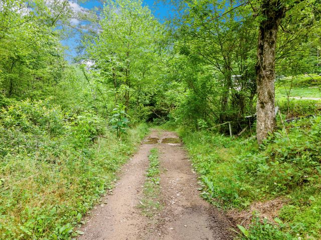 0 Egypt Hollow Road, Trenton, GA 30752