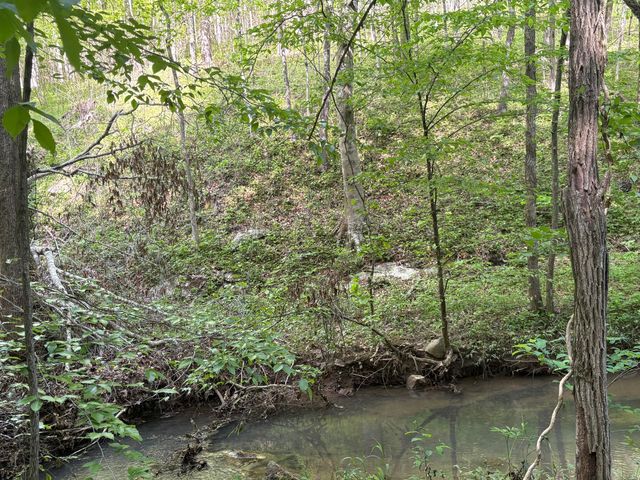 0 Egypt Hollow Road, Trenton, GA 30752