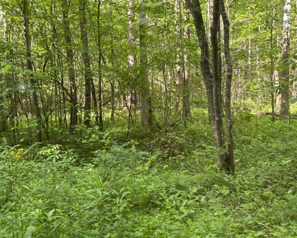 0 Egypt Hollow Road, Trenton, GA 30752