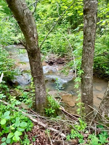 0 Egypt Hollow Road, Trenton, GA 30752