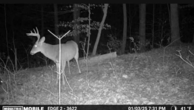 0 Egypt Hollow Road, Trenton, GA 30752