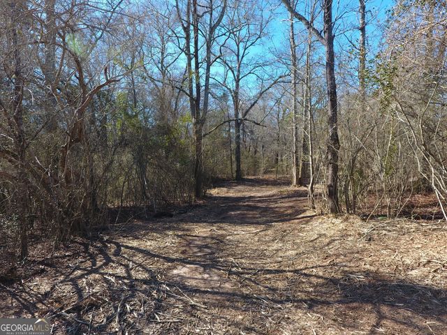 1015 N Walkers Mill Road, Griffin, GA 30223