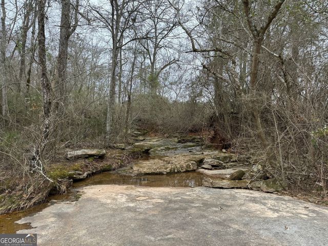 1015 N Walkers Mill Road, Griffin, GA 30223