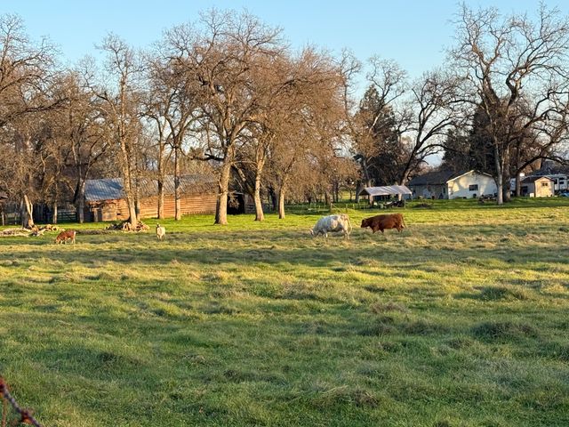 10241 Deschutes Road, Palo Cedro, CA 96073