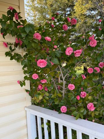 10241 Deschutes Road, Palo Cedro, CA 96073