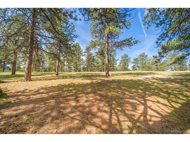 28480 Douglas Park Rd, Evergreen, CO 80439