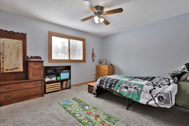 30125 Ridgewood Avenue, Shafer, MN 55074