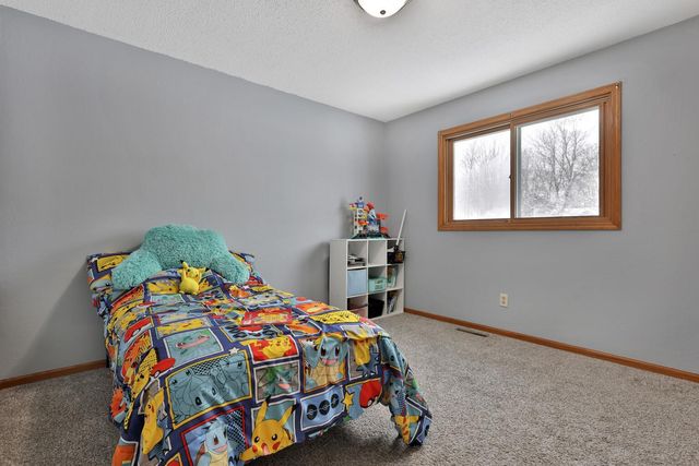 30125 Ridgewood Avenue, Shafer, MN 55074