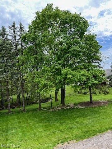 1250 S Sawburg Avenue, Alliance, OH 44601