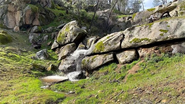 29029 Sequoia, Coarsegold, CA 93614