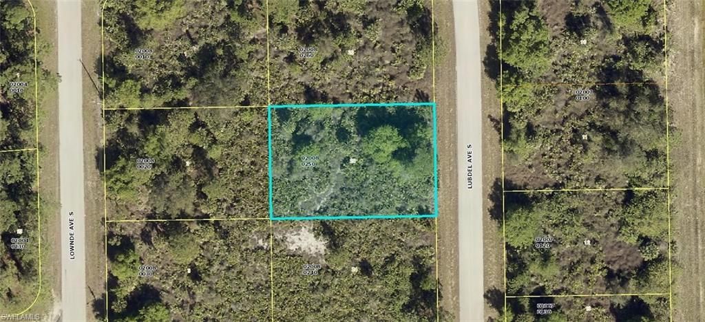 314 Lubdel AVE S, LEHIGH ACRES, FL 33974 — exterior