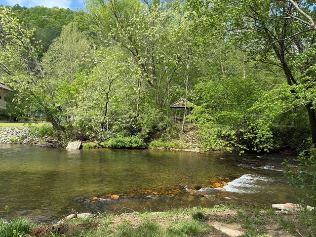 4368 Riverbank Run, Hiawassee, GA 30546