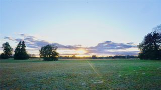 0000 Hwy 37, Quitman, TX 75783