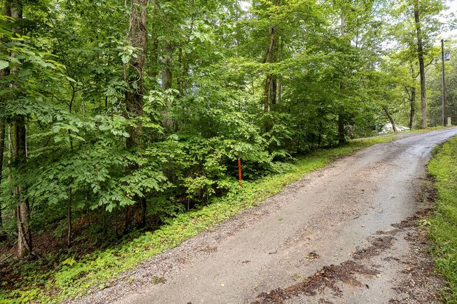 222 Witherspoon Dr, Smithville, TN 37166