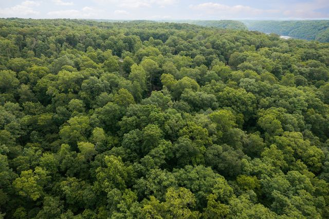 222 Witherspoon Dr, Smithville, TN 37166