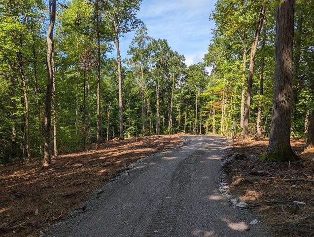 222 Witherspoon Dr, Smithville, TN 37166
