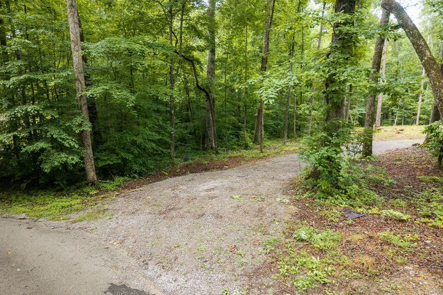 222 Witherspoon Dr, Smithville, TN 37166