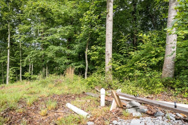 222 Witherspoon Dr, Smithville, TN 37166