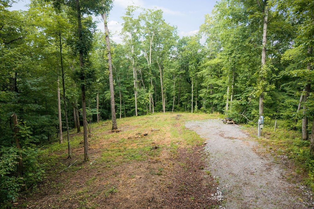 222 Witherspoon Dr, Smithville, TN 37166