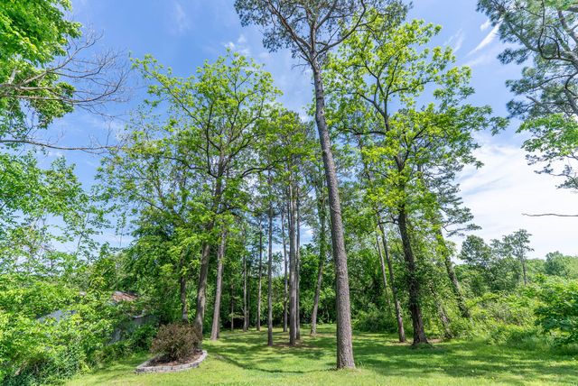 620 N 9th Street, Thayer, MO 65791