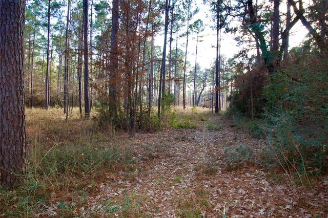 1497 County Road 1170, Kennard, TX 75847