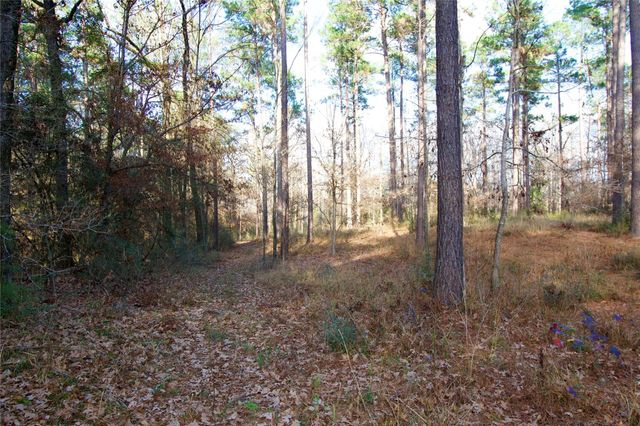 1497 County Road 1170, Kennard, TX 75847