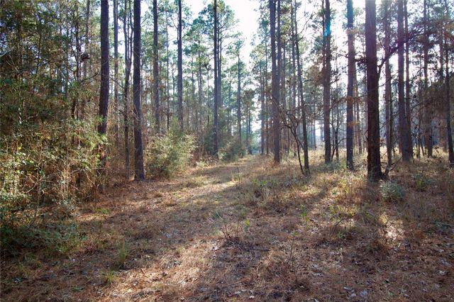 1497 County Road 1170, Kennard, TX 75847