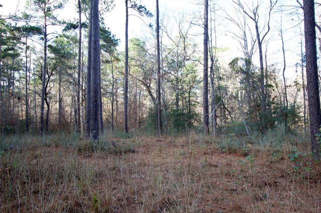 1497 County Road 1170, Kennard, TX 75847