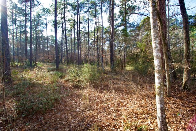 1497 County Road 1170, Kennard, TX 75847