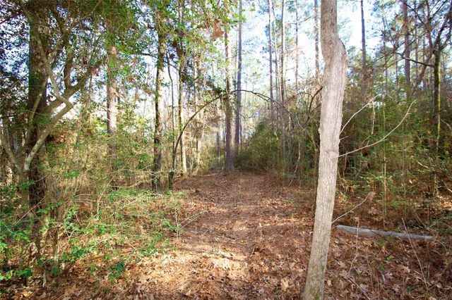 1497 County Road 1170, Kennard, TX 75847