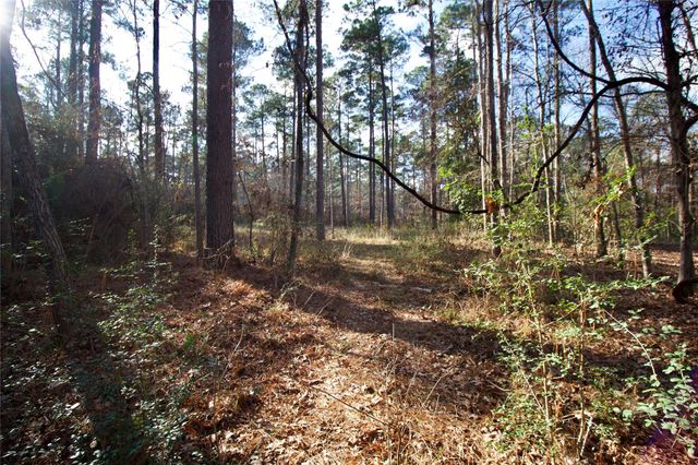 1497 County Road 1170, Kennard, TX 75847