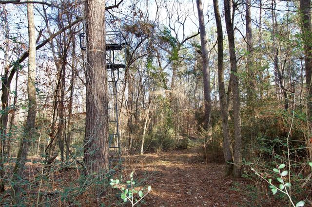 1497 County Road 1170, Kennard, TX 75847