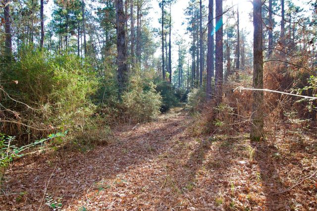 1497 County Road 1170, Kennard, TX 75847