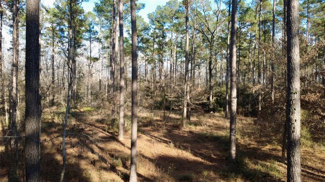 1497 County Road 1170, Kennard, TX 75847