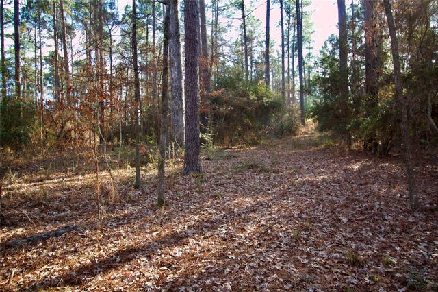 1497 County Road 1170, Kennard, TX 75847