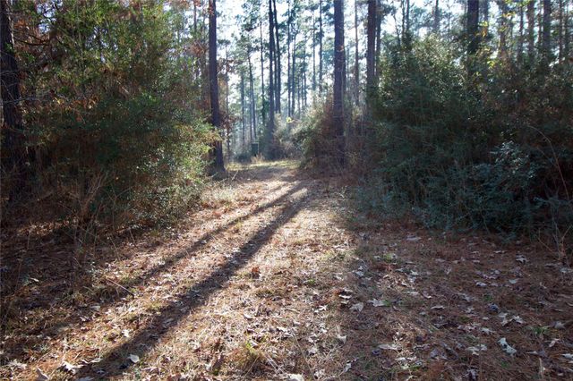 1497 County Road 1170, Kennard, TX 75847