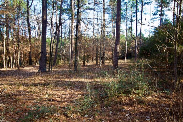 1497 County Road 1170, Kennard, TX 75847