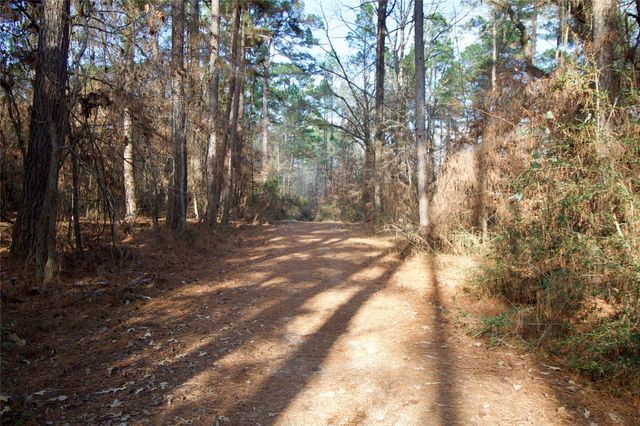 1497 County Road 1170, Kennard, TX 75847