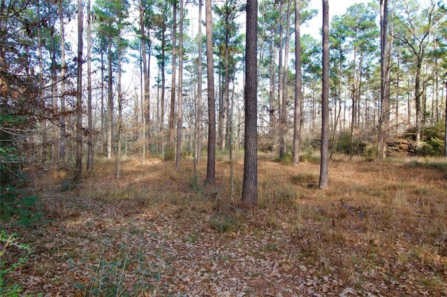 1497 County Road 1170, Kennard, TX 75847