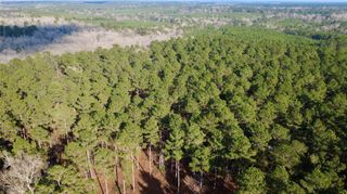 1497 County Road 1170, Kennard, TX 75847