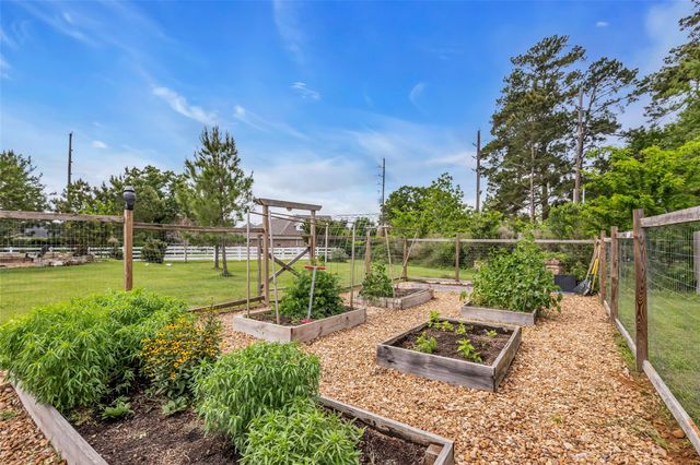 12253 Seagrape Lane, Conroe, TX 77304