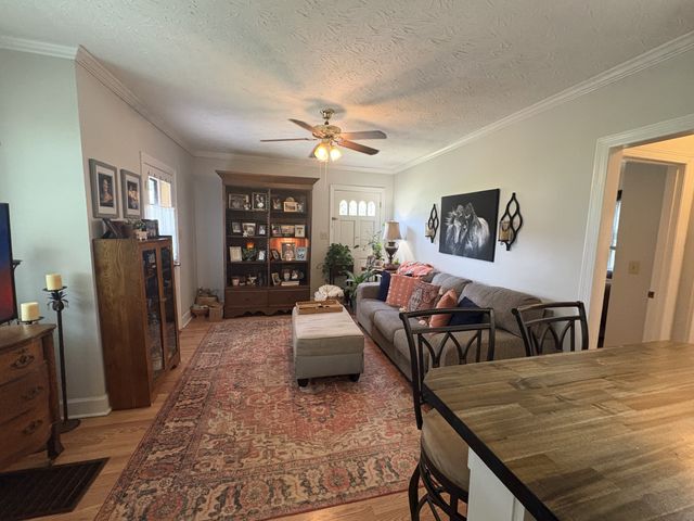 108 Greenwood St, Mount Pleasant, TN 38474