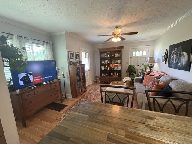 108 Greenwood St, Mount Pleasant, TN 38474