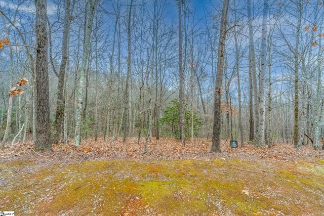 30 Lakes Edge Way, Marietta, SC 29661