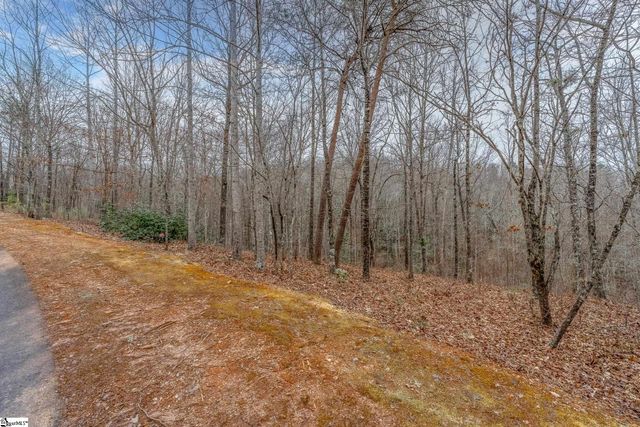 30 Lakes Edge Way, Marietta, SC 29661