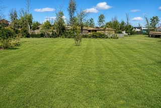 219 Redbud Lane, Onalaska, TX 77360