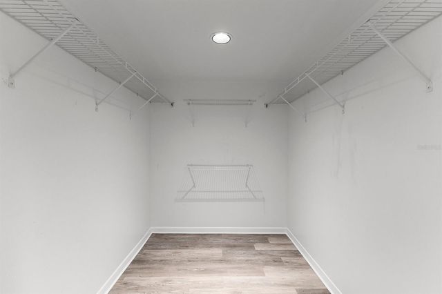 3076 EASTLAND BOULEVARD 404, Clearwater, FL 33761