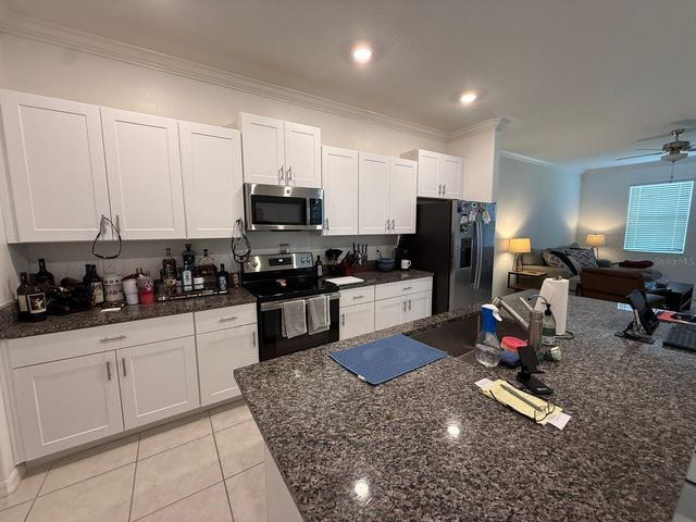 31881 BLUE PASSING LOOP, Wesley Chapel, FL 33545