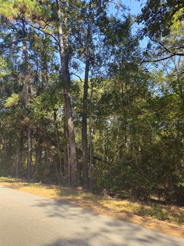 tbd Royal Springs Road, Conroe, TX 77303