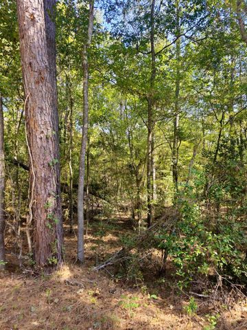 tbd Royal Springs Road, Conroe, TX 77303